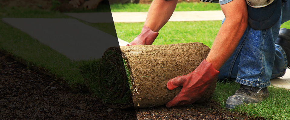 Spokane Landscapers